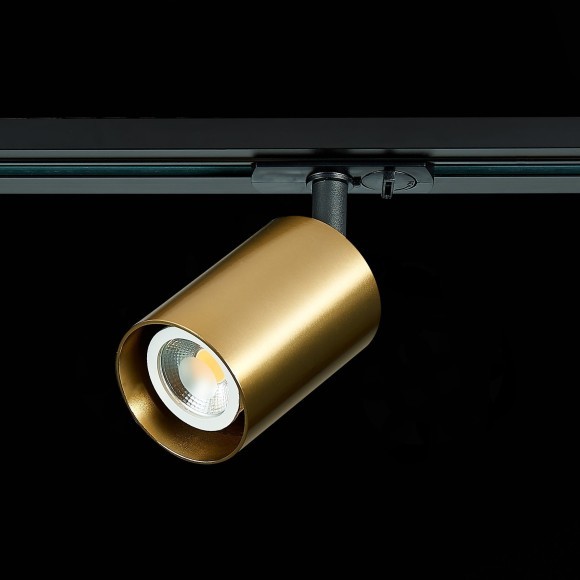 ST302.206.01 однофазный двужильный трековый светильник ST Luce под сменную лампу GU10