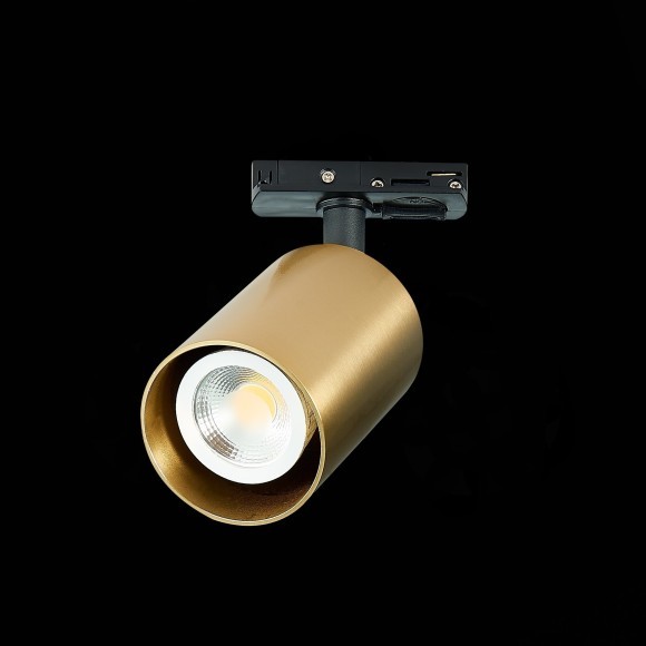 ST302.206.01 однофазный двужильный трековый светильник ST Luce под сменную лампу GU10