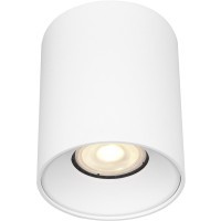 ST167.502.01 Светильник потолочный Белый GU10 1*50W IP20 D80xH95 220V Без ламп Накладные светильники