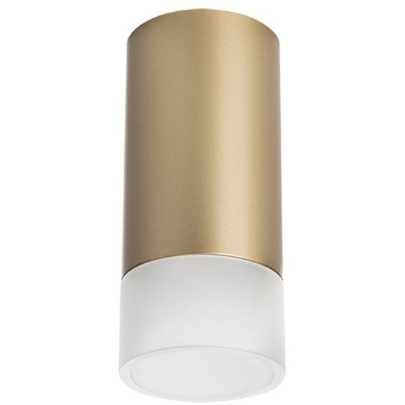 Накладной потолочный светильник Lightstar R44031 RULLO под лампу 1xGU10 50W