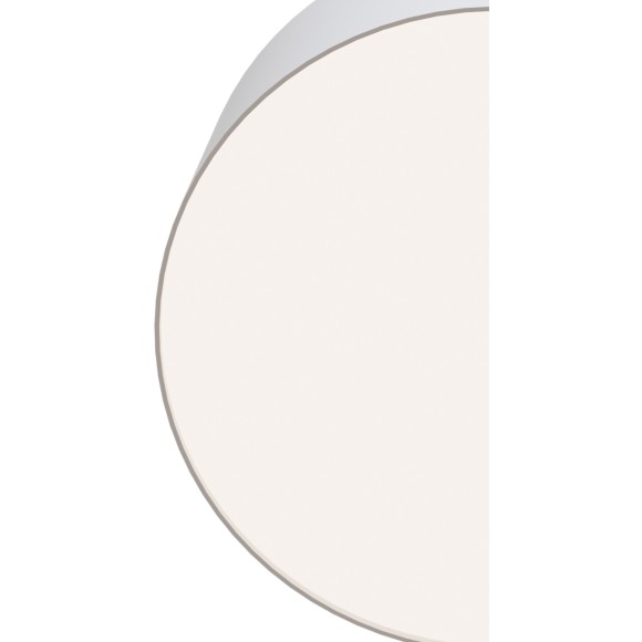 Потолочный светильник Technical C032CL-L12W4K