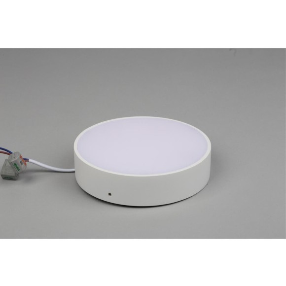 Светильник настенно-потолочный APL.0114.09.18