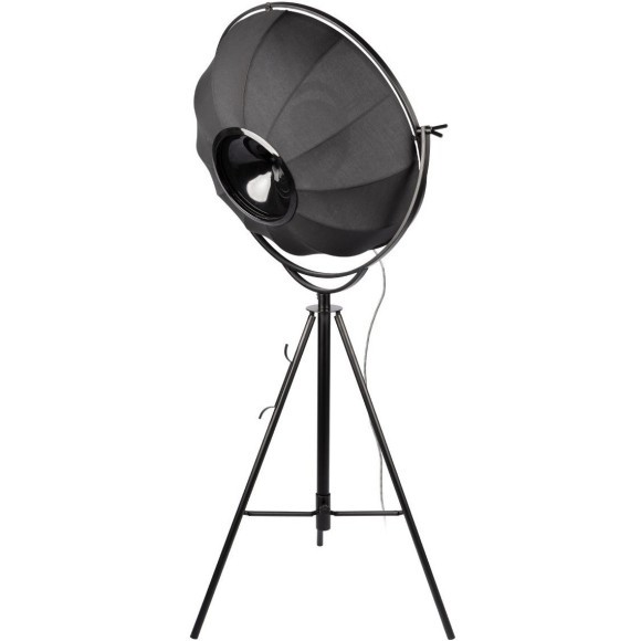 10301/M Торшер LOFT IT Studio