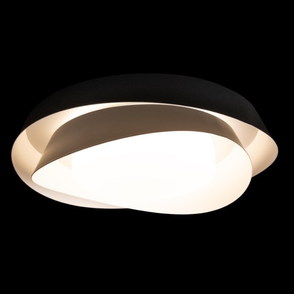 10256 Black Потолочный светильник LOFT IT Petale 10256 Black Потолочный светильник LOFT IT Petale