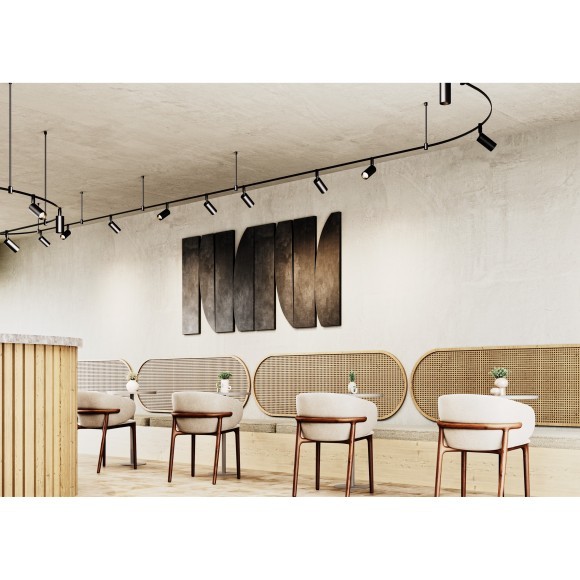 Светильник на гибкий шинопровод Maytoni Flexity TR201-1-10W3K-M-B 3000K 600лм 10Вт