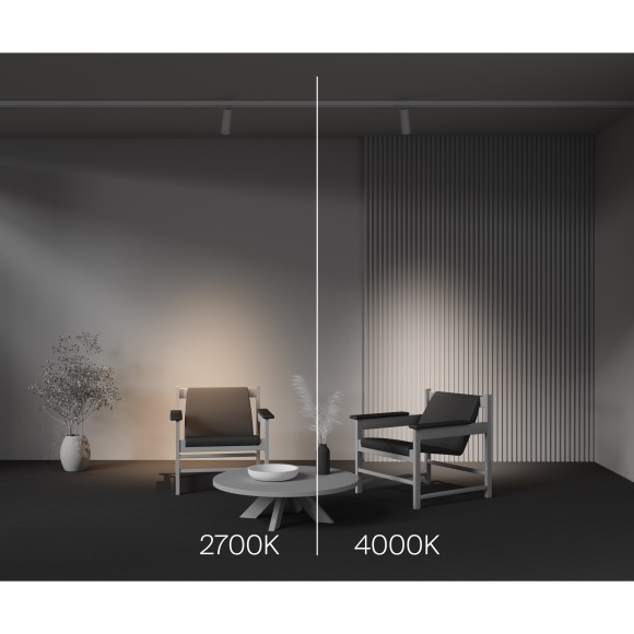 Трековый светильник Technical TR198-3-20W4K-Z-W Трековый светильник Technical TR198-3-20W4K-Z-W