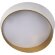 10199 White Потолочный светильник LOFT IT Coin
