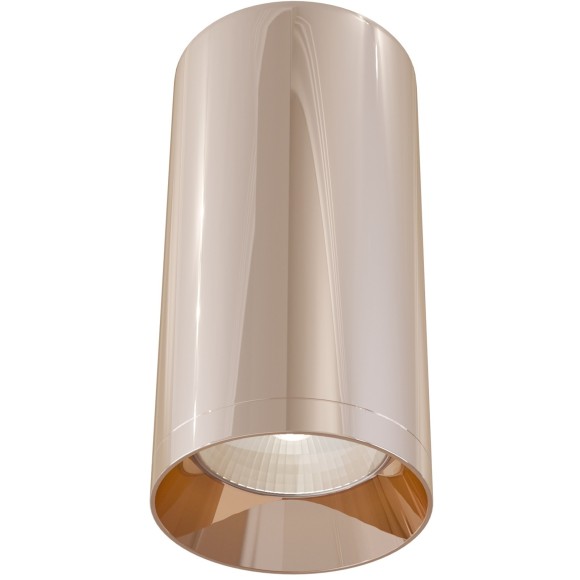 Потолочный светильник Technical C010CL-01RG