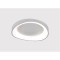 Потолочный светильник Arte Lamp SUALOCIN A2698PL-60WH