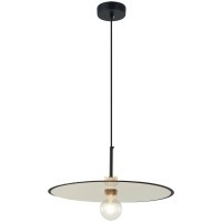 Подвесной светильник с 1 плафоном Lussole LSP-8487 BUTLER IP21 под лампу 1xE27 40W