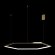 10016XL Подвесной светильник LOFT IT Ring