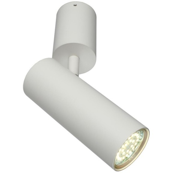 Светильник настенно-потолочный APL.007.02.01