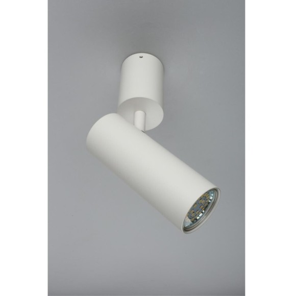 Светильник настенно-потолочный APL.007.02.01