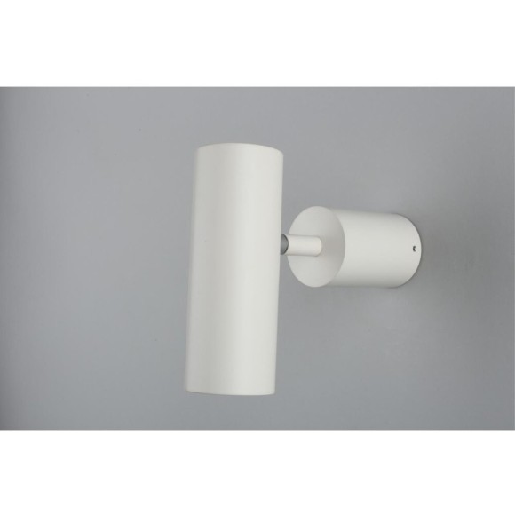 Светильник настенно-потолочный APL.007.02.01