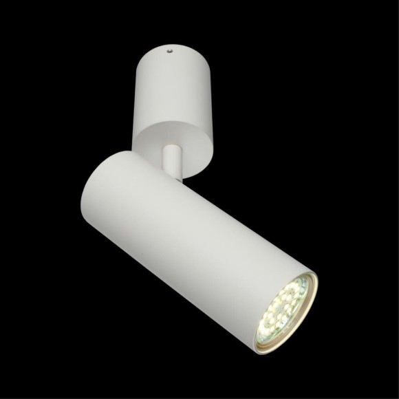 Светильник настенно-потолочный APL.007.02.01