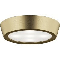 Уличный потолочный светильник Lightstar 214914 Urbano IP65 светодиодный LED 100W