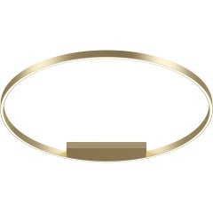 Потолочный светильник Maytoni MOD058CL-L65BSK