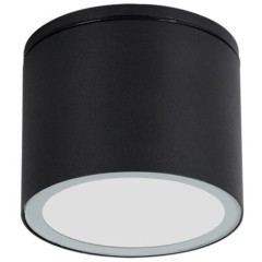 Уличный потолочный светильник Arte Lamp PIAUTOS A1913PF-1BK Уличный потолочный светильник Arte Lamp PIAUTOS A1913PF-1BK