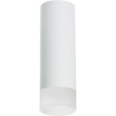 Накладной потолочный светильник Lightstar R48631 RULLO под лампу 1xGU10 50W Накладной потолочный светильник Lightstar R48631 RULLO под лампу 1xGU10 50W