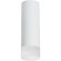Накладной потолочный светильник Lightstar R48631 RULLO под лампу 1xGU10 50W