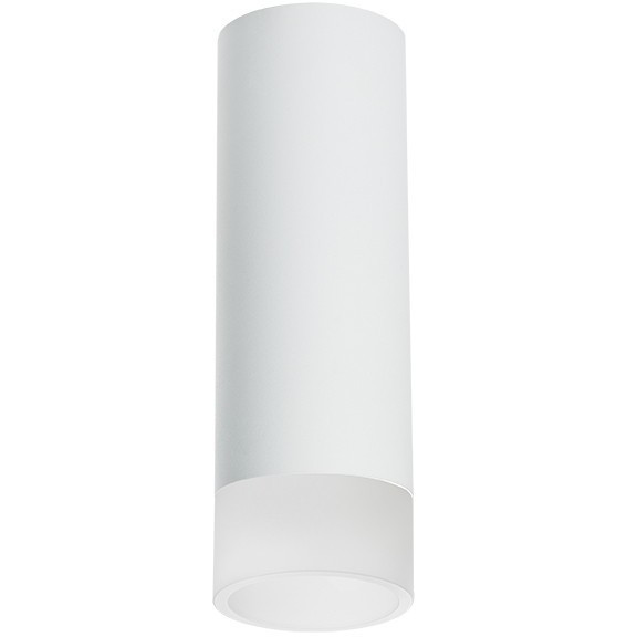 Накладной потолочный светильник Lightstar R48631 RULLO под лампу 1xGU10 50W