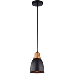 Подвесной светильник с 1 плафоном Arte Lamp A4248SP-1BK EURICA под лампу 1xE27 60W Подвесной светильник с 1 плафоном Arte Lamp A4248SP-1BK EURICA под лампу 1xE27 60W