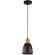 Подвесной светильник с 1 плафоном Arte Lamp A4248SP-1BK EURICA под лампу 1xE27 60W