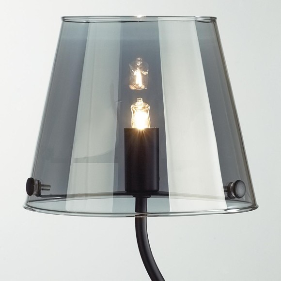 Настольная лампа G9 Lumion SMOKY 6570/1T Настольная лампа G9 Lumion SMOKY 6570/1T