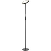 Торшер Lussole LSP-0901-SE