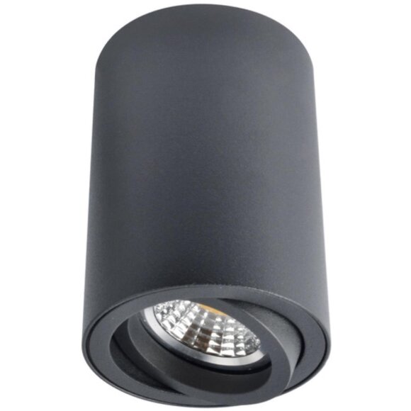 Накладной потолочный светильник Arte Lamp A1560PL-1BK SENTRY под лампу 1xGU10 50W Накладной потолочный светильник Arte Lamp A1560PL-1BK SENTRY под лампу 1xGU10 50W