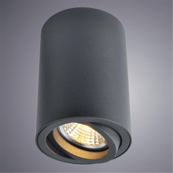Накладной потолочный светильник Arte Lamp A1560PL-1BK SENTRY под лампу 1xGU10 50W Накладной потолочный светильник Arte Lamp A1560PL-1BK SENTRY под лампу 1xGU10 50W