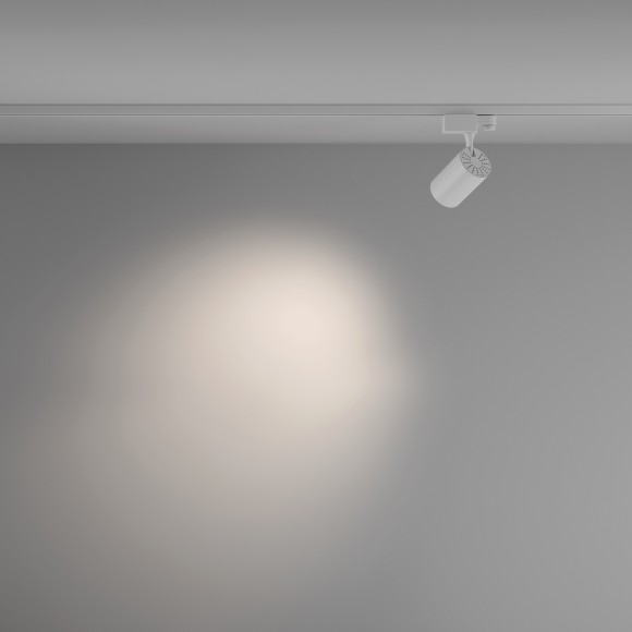 Трековый светильник трехфазный 220V светодиодный Vuoro TR029-3-10W4K-M-W