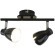 Спот Arte Lamp GIOVED A6008PL-2BK