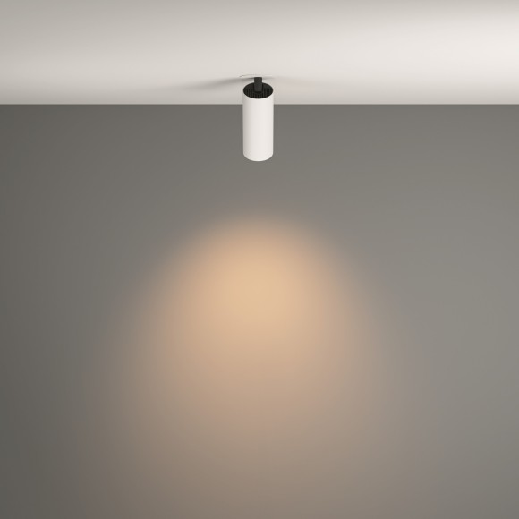 Потолочный светильник Technical C053CL-L12W3K-W-W