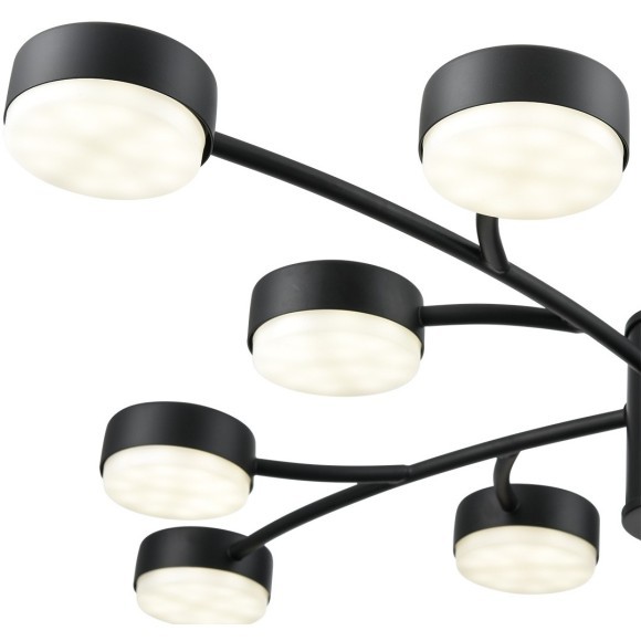 Люстра GX53 Lumion TORINA 8117/12 Люстра GX53 Lumion TORINA 8117/12