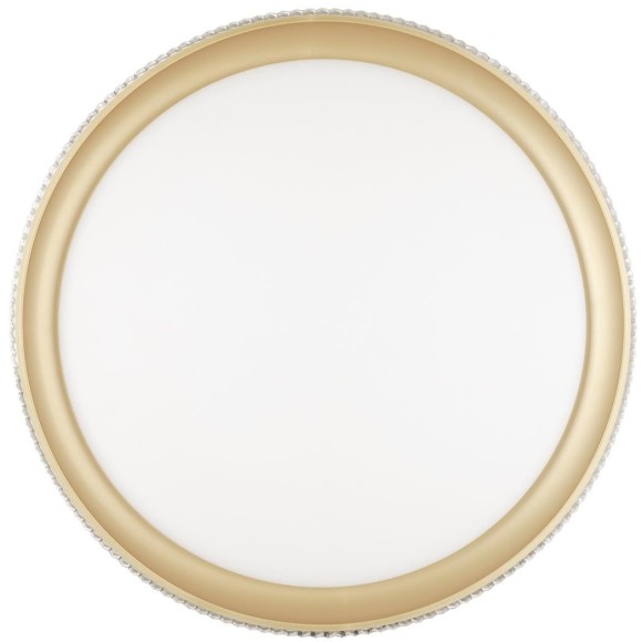 Настенно-потолочный светильник светодиодный для ванной с пультом регулировкой цветовой температуры и яркости ночным режимомShiny 3054/EL IP43