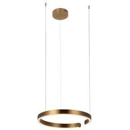 10013M Подвесной светильник LOFT IT Ring