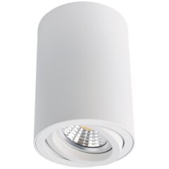 Накладной потолочный светильник Arte Lamp A1560PL-1WH SENTRY под лампу 1xGU10 50W Накладной потолочный светильник Arte Lamp A1560PL-1WH SENTRY под лампу 1xGU10 50W