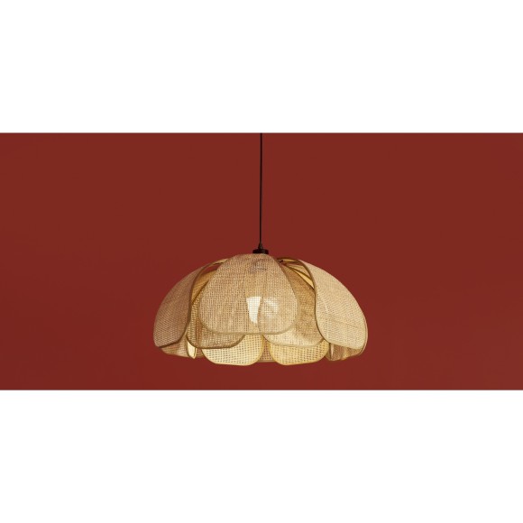 Подвесной светильник Freya FR5529PL-01B