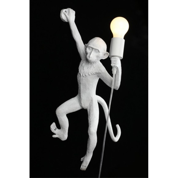 Светильник настенный (Бра) APL.309.11.01