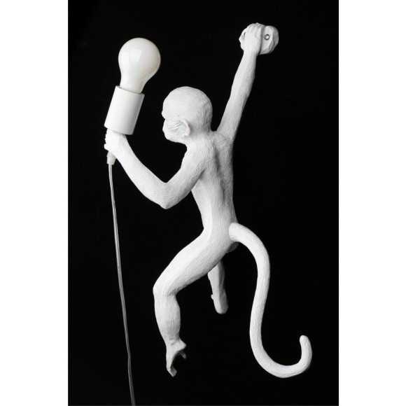 Светильник настенный (Бра) APL.309.11.01