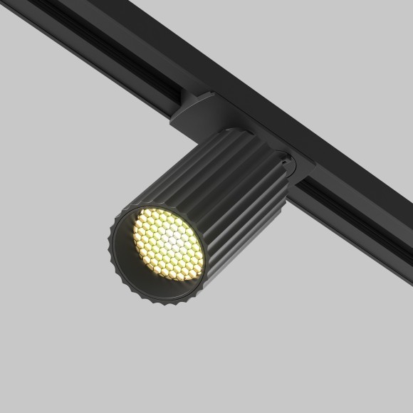 Однофазный двужильный трековый светильник Maytoni Unity TR218-1-GU10-BK Calipso под сменную лампу GU10