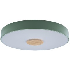 10003/24 Green Потолочный светильник LOFT IT Axel 10003/24 Green Потолочный светильник LOFT IT Axel