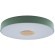 10003/24 Green Потолочный светильник LOFT IT Axel