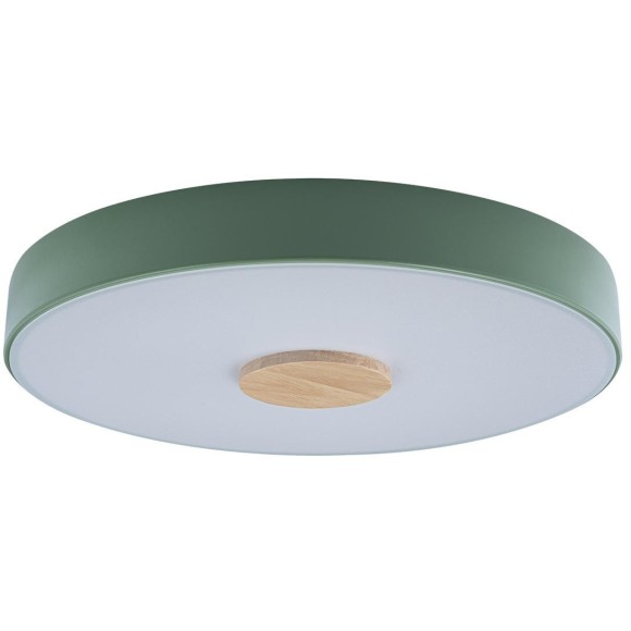 10003/24 Green Потолочный светильник LOFT IT Axel