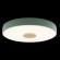 10003/24 Green Потолочный светильник LOFT IT Axel