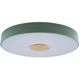 10003/24 Green Потолочный светильник LOFT IT Axel