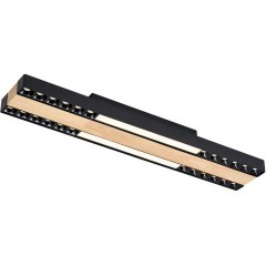 Потолочный светильник Zebra 4440-2C Потолочный светильник Zebra 4440-2C