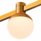 ST815.246.05 Магнитный трековый светильник золотистый LED 5W 4000K 89Lm Ra90 120° FARM