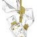 Подвесной светильник Maytoni MOD325PL-06G1 Coctail time под лампы 6xG9 28W